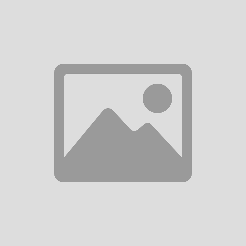 DR. WAEL AL MAHMEED TRAVEL GRANT 2024